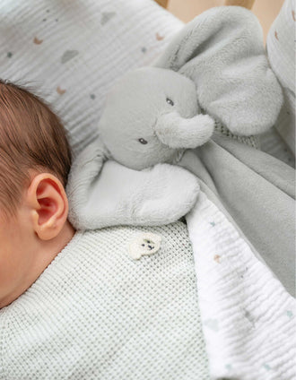 Maxi Doudou Elefante Nattou 0M+, Verde