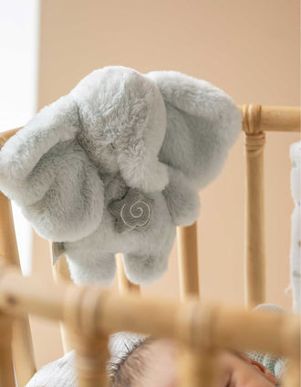 Mini Musical Plush Elephant Nattou 0M+, Green
