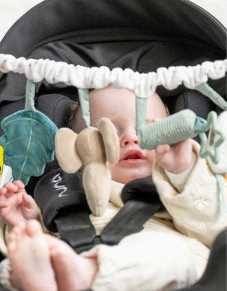 Stroller Activity Arch Lapidou Nattou 0M+, Green