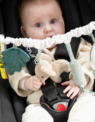 Stroller Activity Arch Lapidou Nattou 0M+, Green