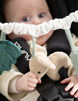 Stroller Activity Arch Lapidou Nattou 0M+, Green