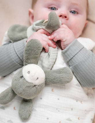 Mini Doudou Burro Nattou 0M+, Verde
