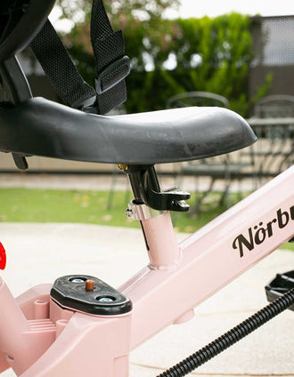Triciclo 5-em-1 Norby Interbaby 12M+, Rosa