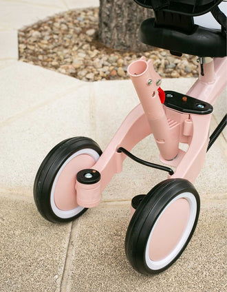 Triciclo 5-em-1 Norby Interbaby 12M+, Rosa