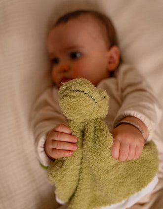 Peluche com Mordedor Dino Little Big Friends 0M+