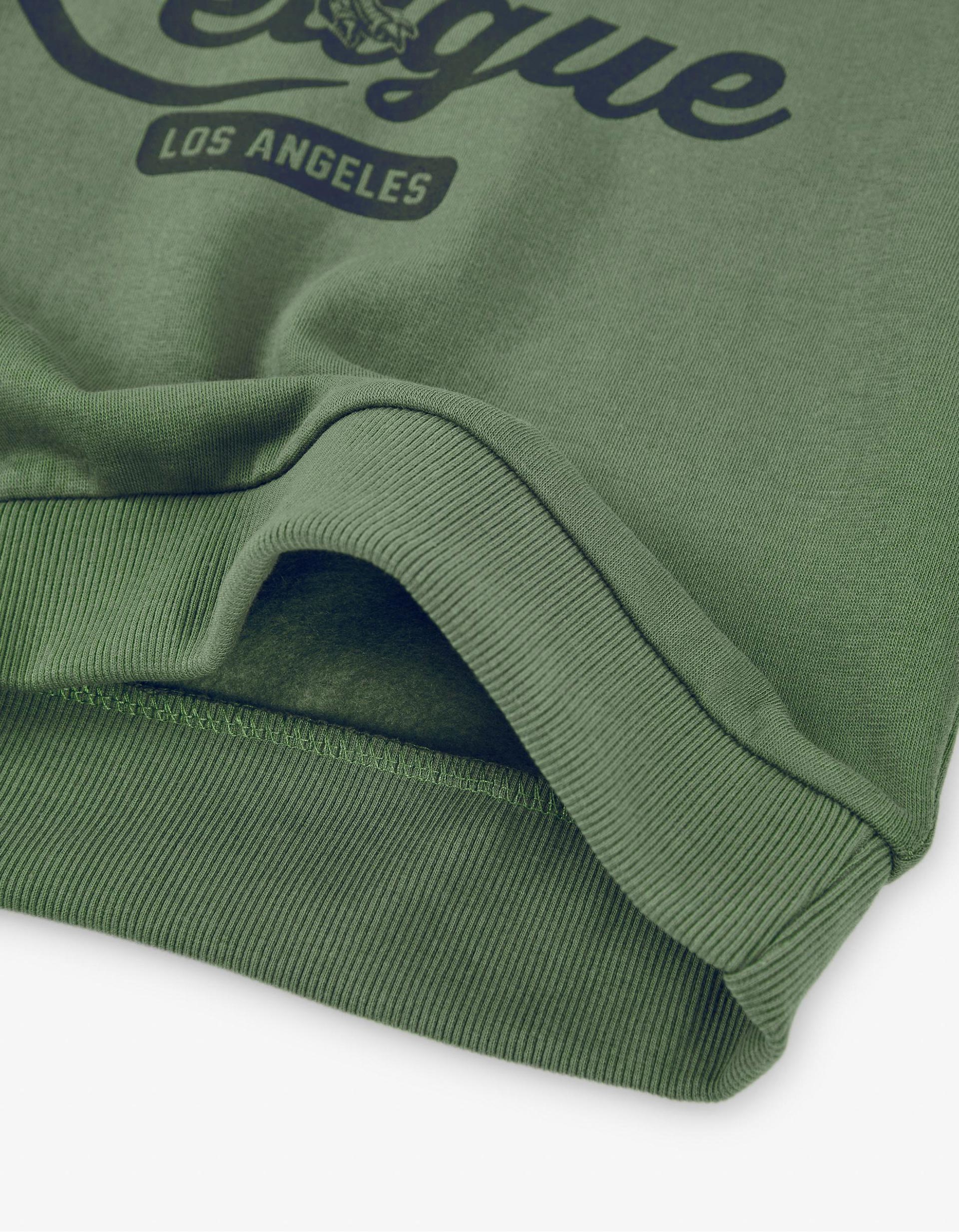 Sweat com Capuz para Menino 'Dinossauro', Verde