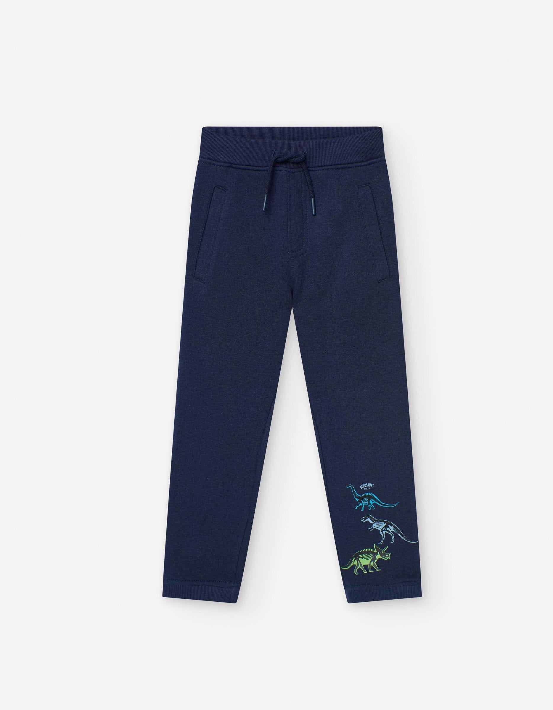 Calças Joggers para Menino 'Dinossauros', Azul Escuro