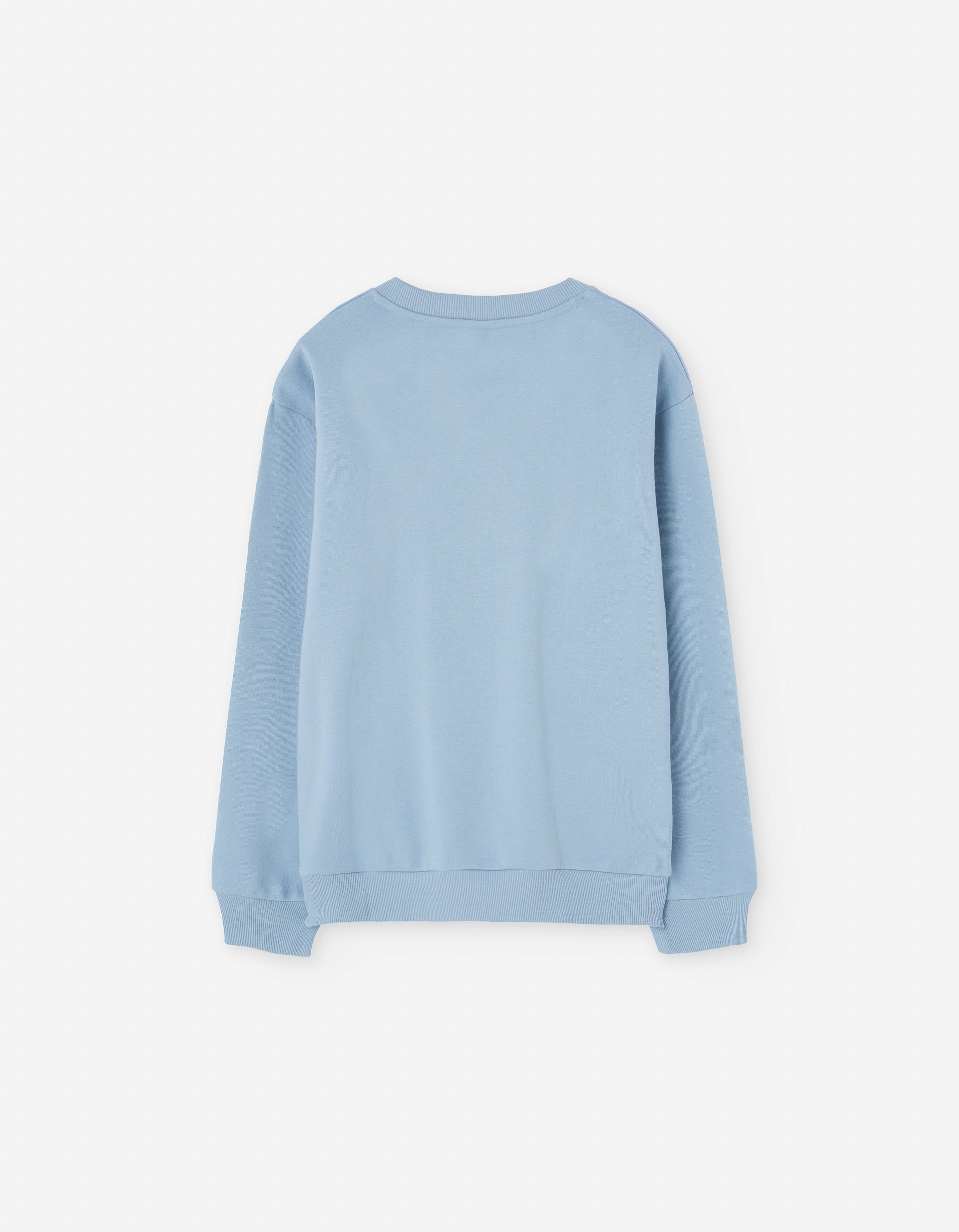 Brushed sweatshirt with Alive print for boys, light blue