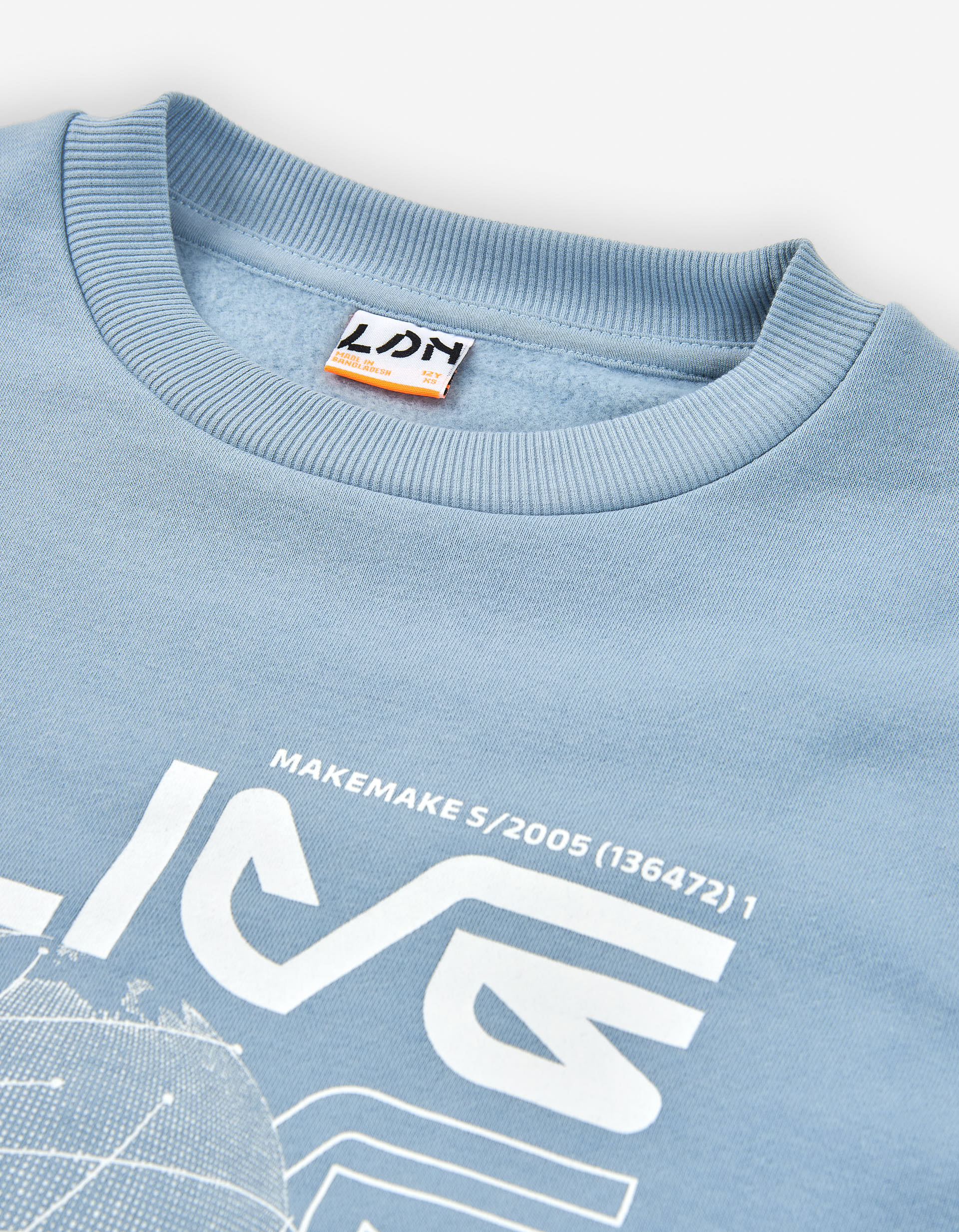 Brushed sweatshirt with Alive print for boys, light blue