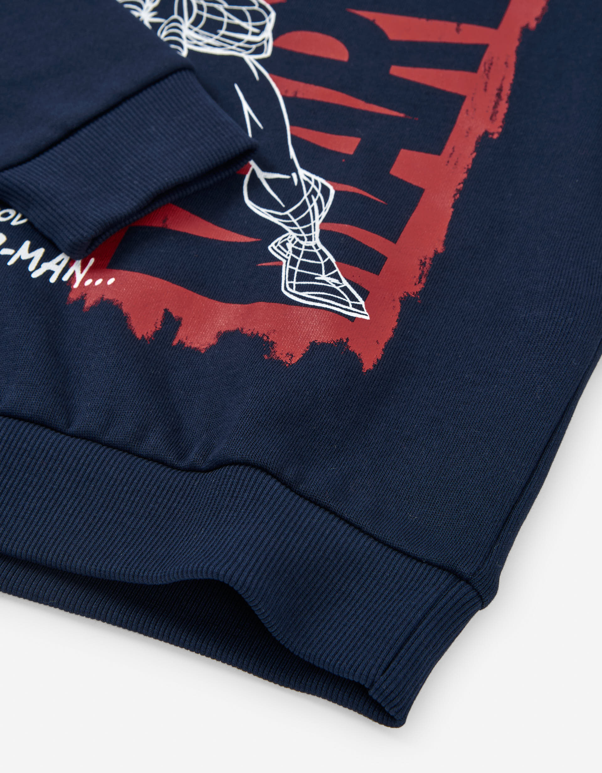 Hooded brushed sweatshirt with Spider-Man print for boys, dark blue
