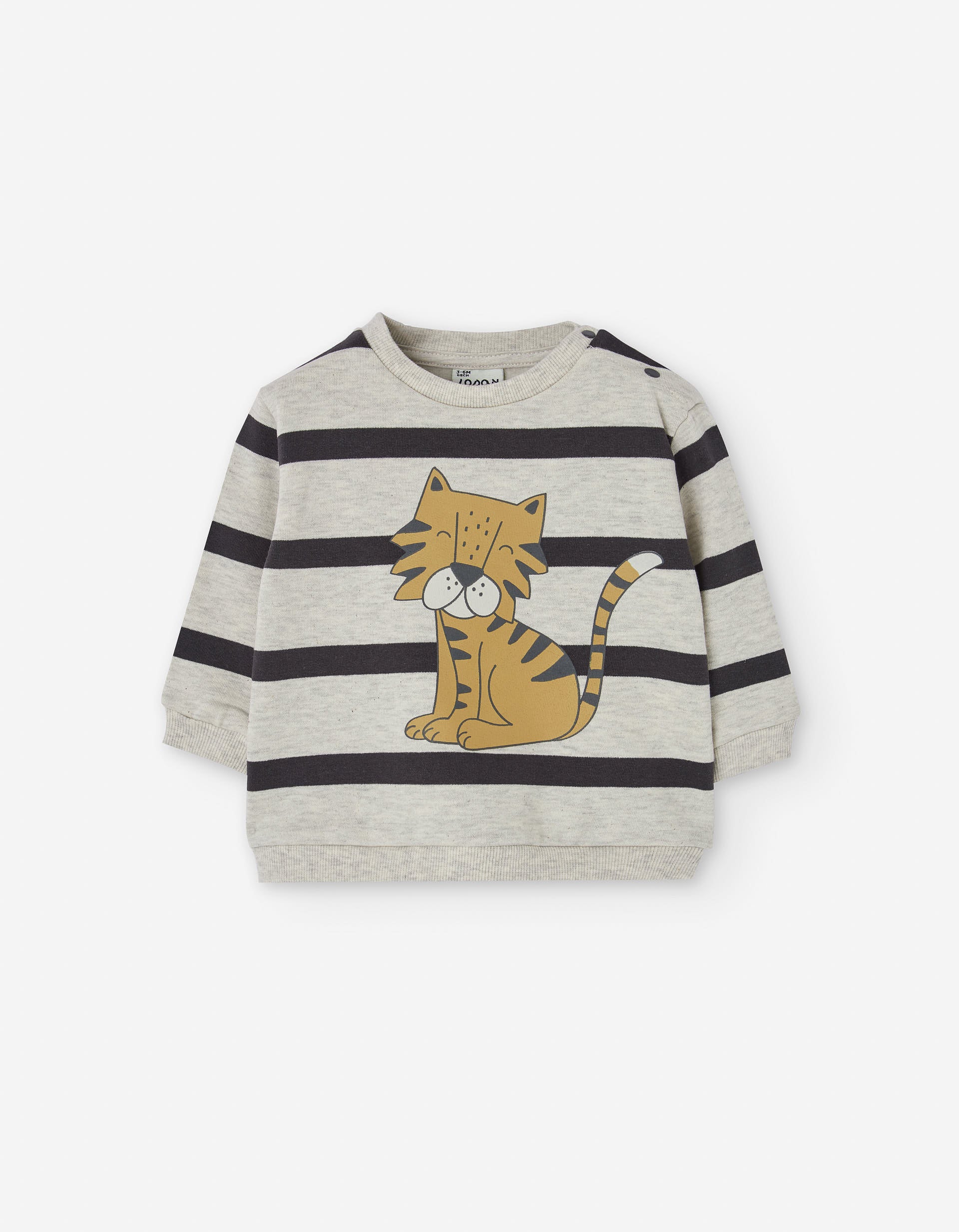 Brushed sweatshirt with tiger print for baby boys, multicolour