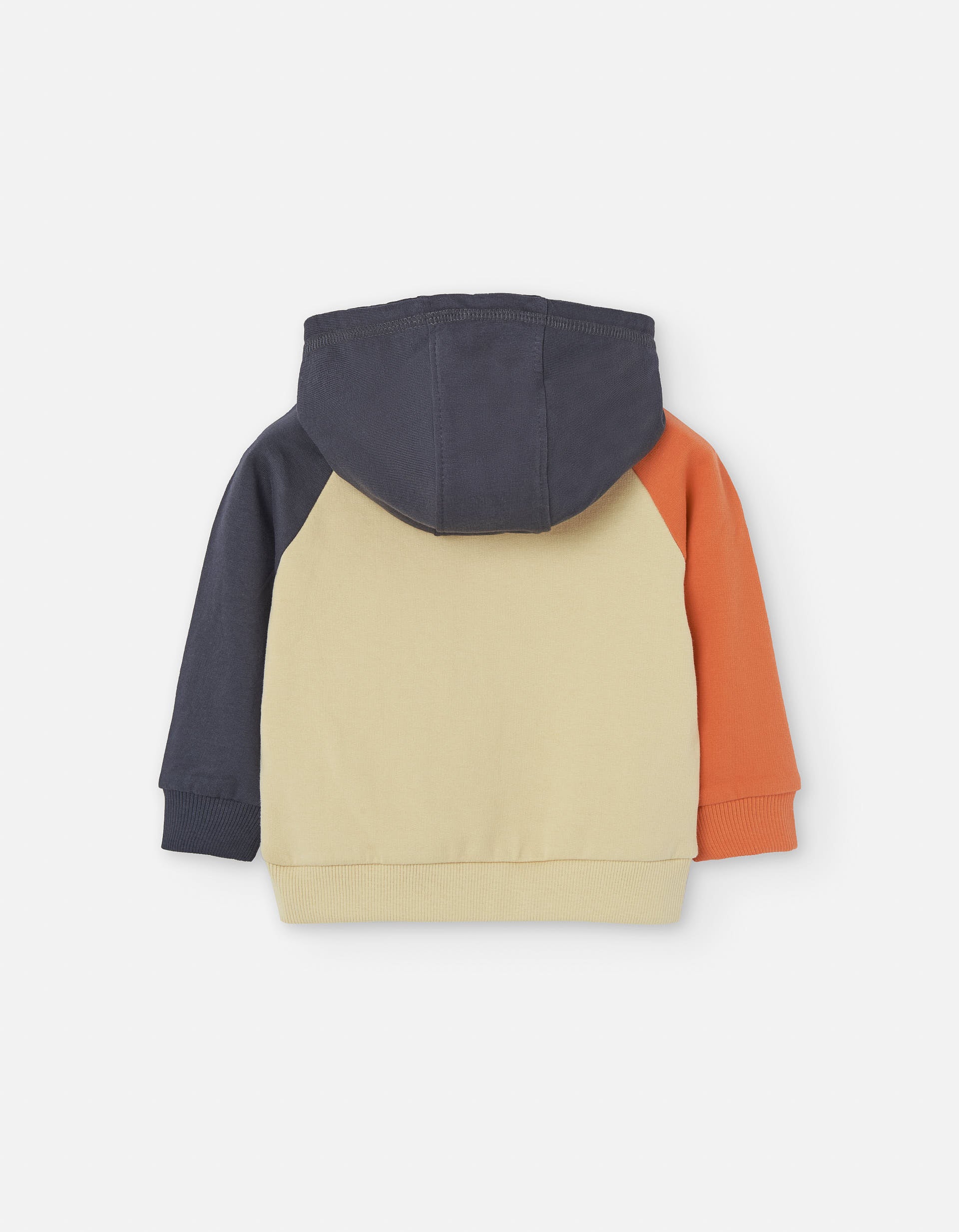 Brushed hooded sweatshirt with embroidery for baby boys, multicolour