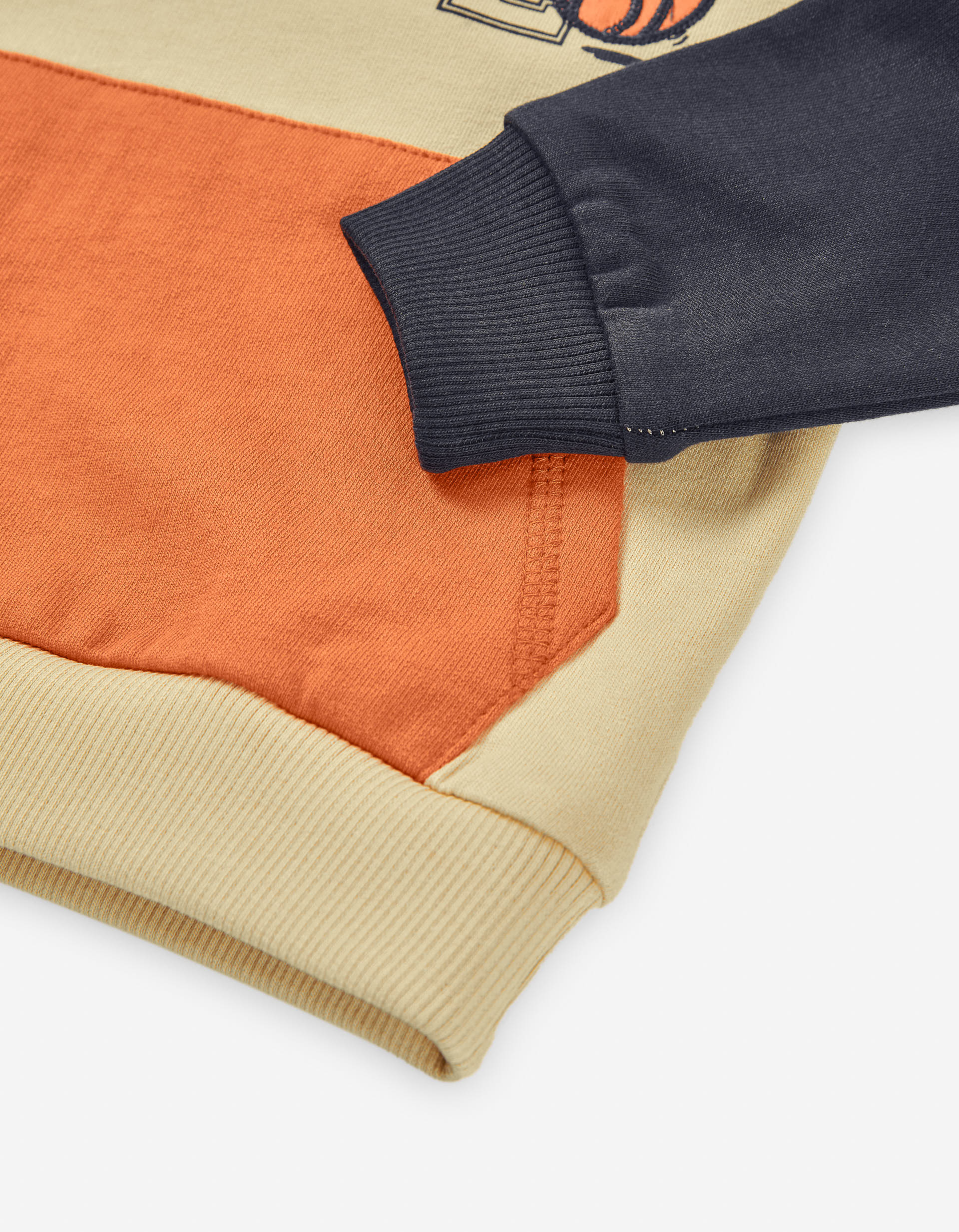 Brushed hooded sweatshirt with embroidery for baby boys, multicolour