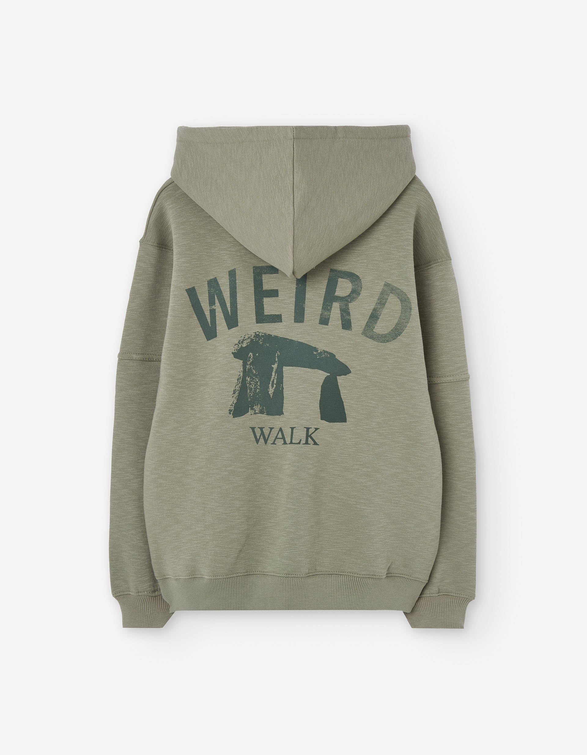 Brushed hooded sweatshirt with Remote Trail print for boys, green