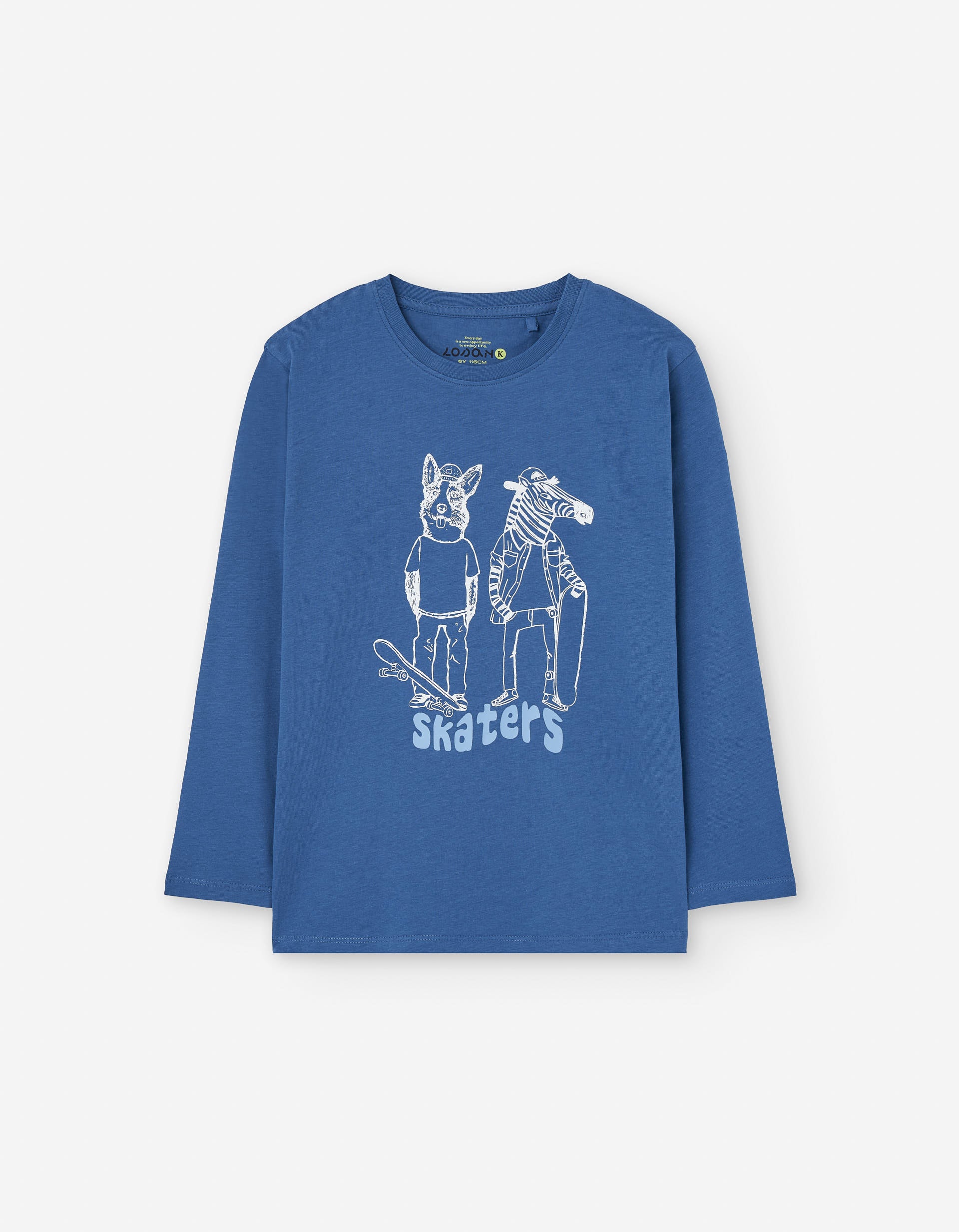 Long sleeve cotton T-shirt with skaters print for boys, blue