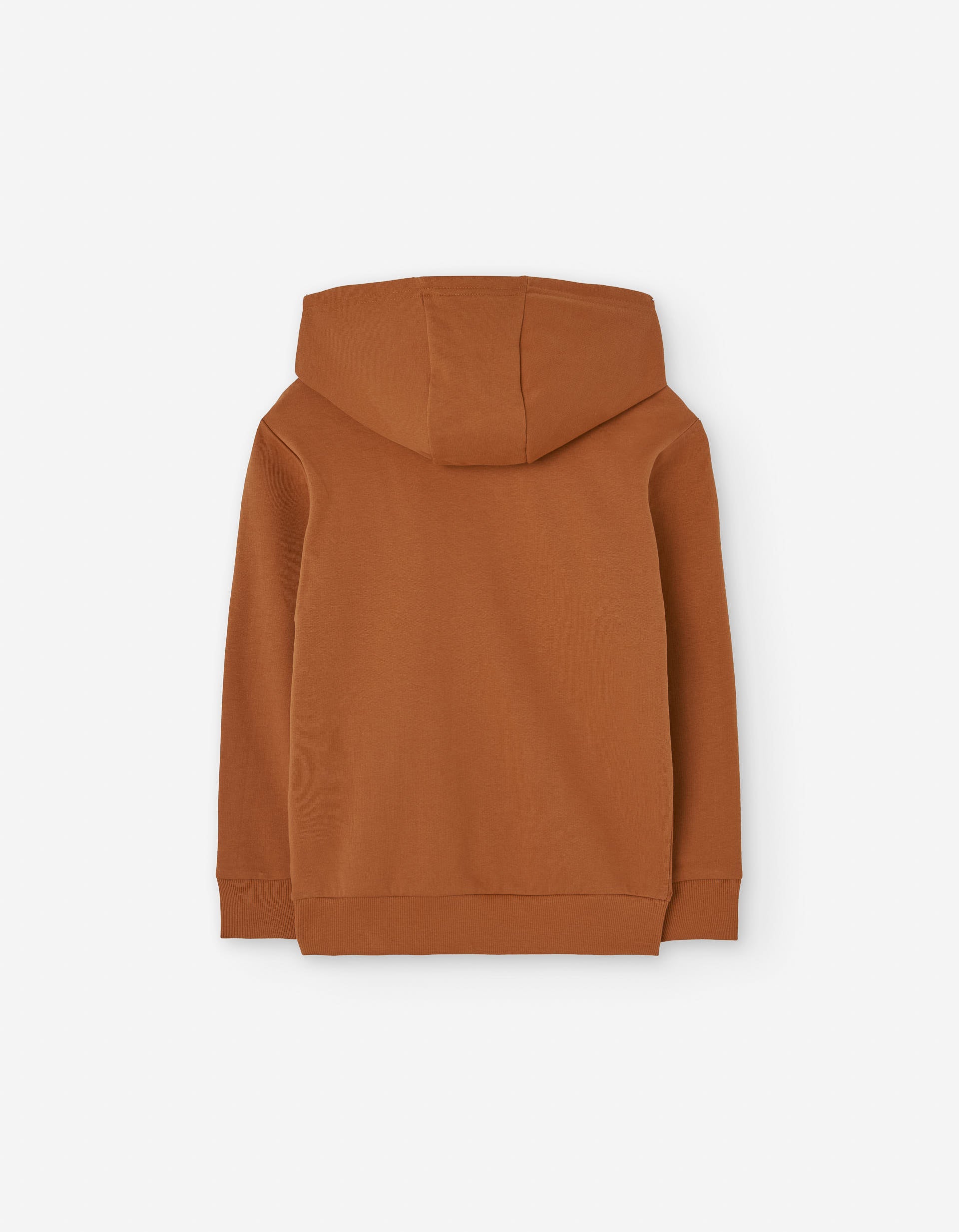 Cotton brushed sweatshirt with hood for boys, brown