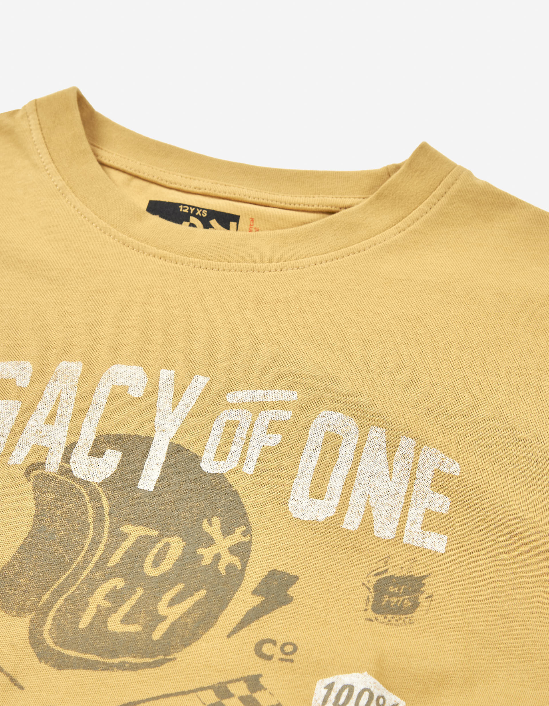 Long sleeve cotton T-shirt with Legacy print for boys, yellow