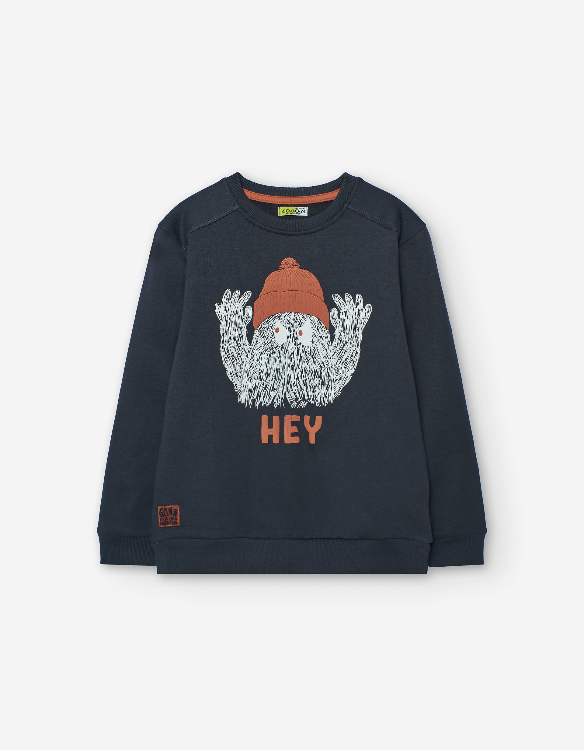 Cotton brushed sweatshirt with monster print for boys, dark grey