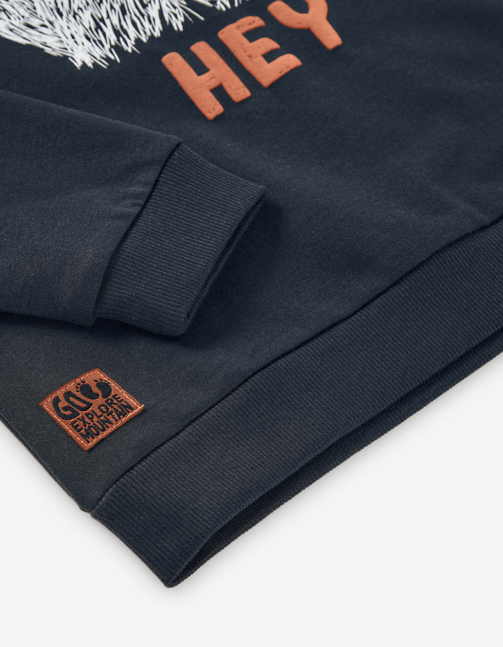 Cotton brushed sweatshirt with monster print for boys, dark grey