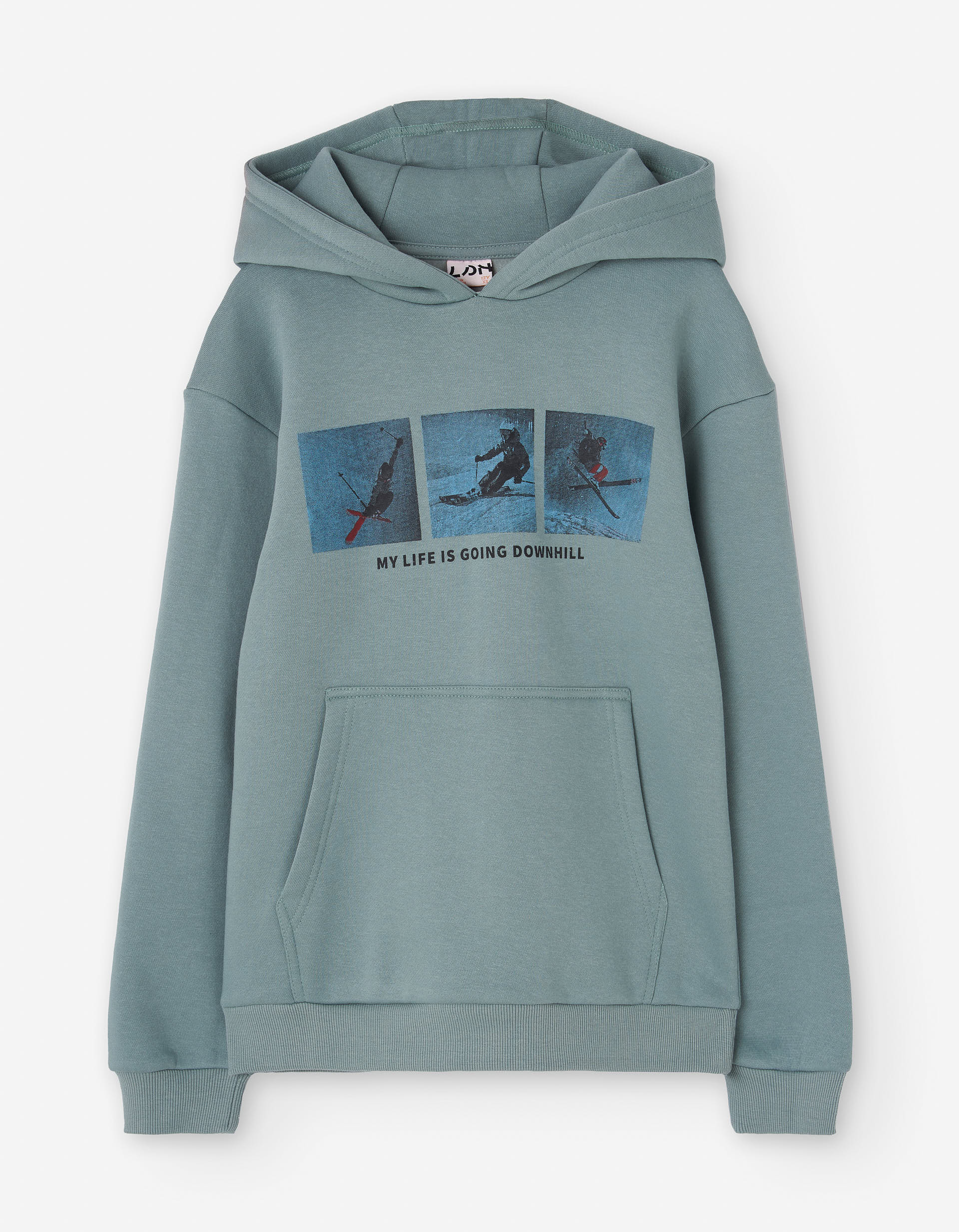 Brushed hooded sweatshirt with Skiing print for boys, grey