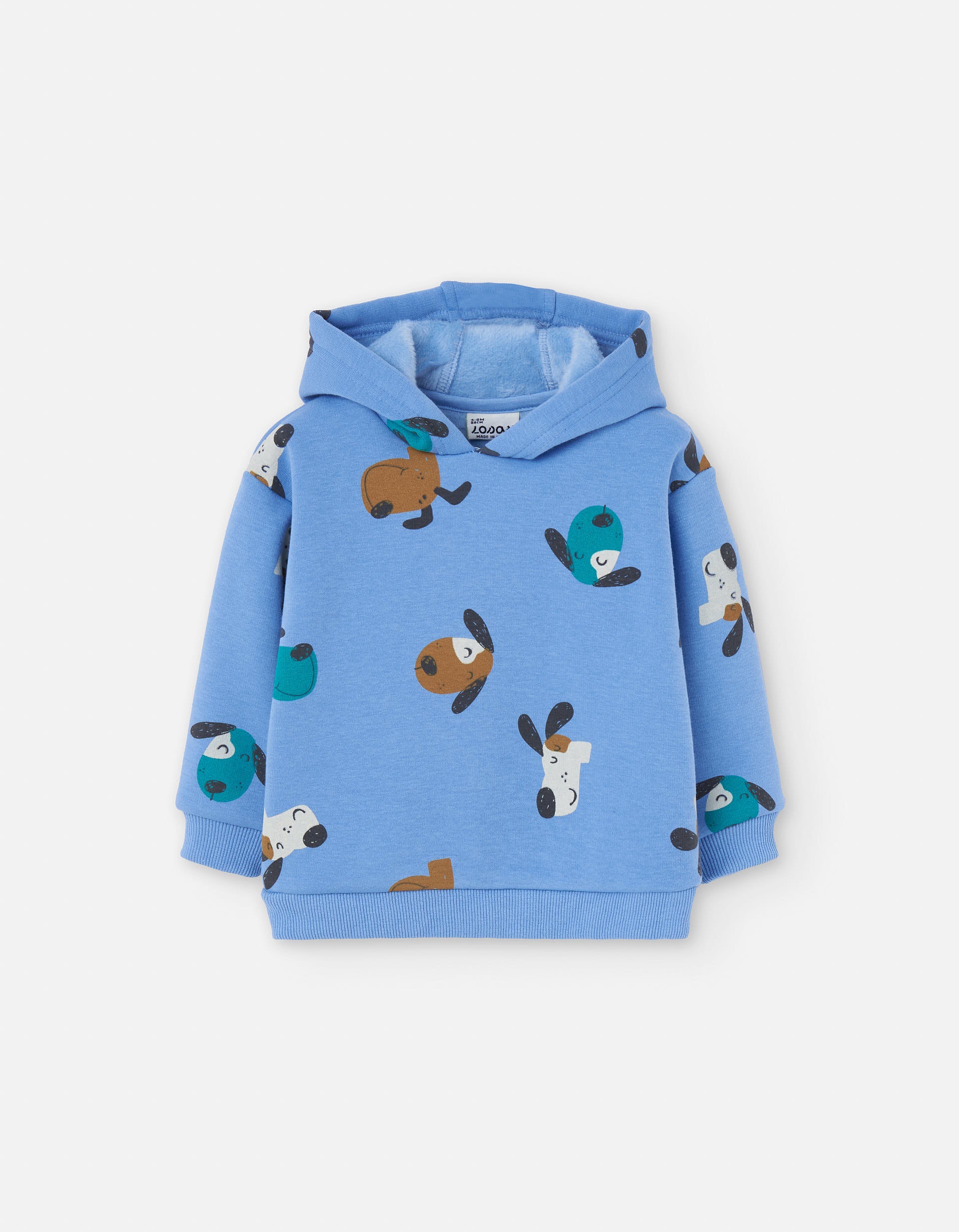Hooded sweatshirt with plush lining for baby boys, blue