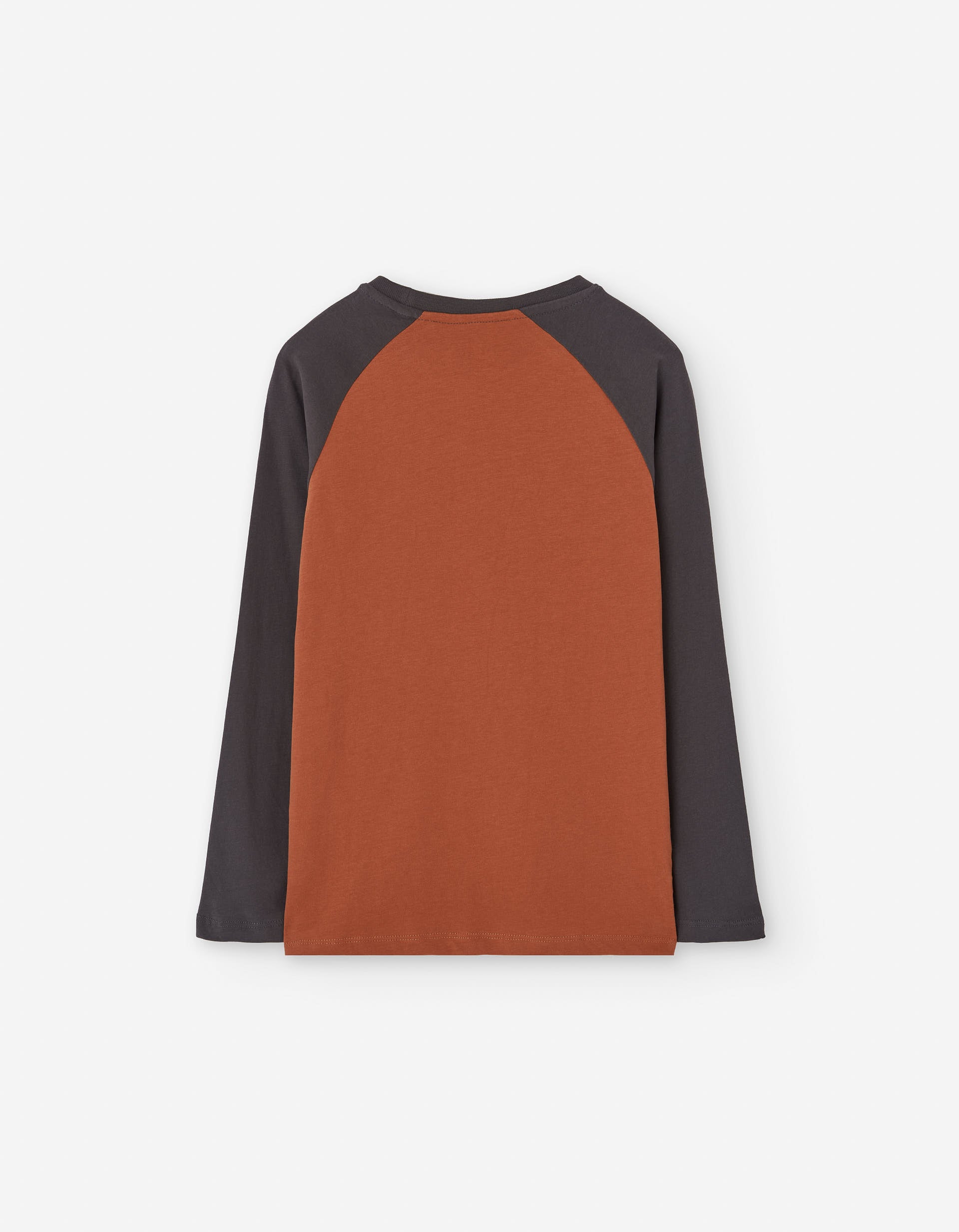 Long sleeve cotton T-shirt with snowboard print for boys, orange/brown