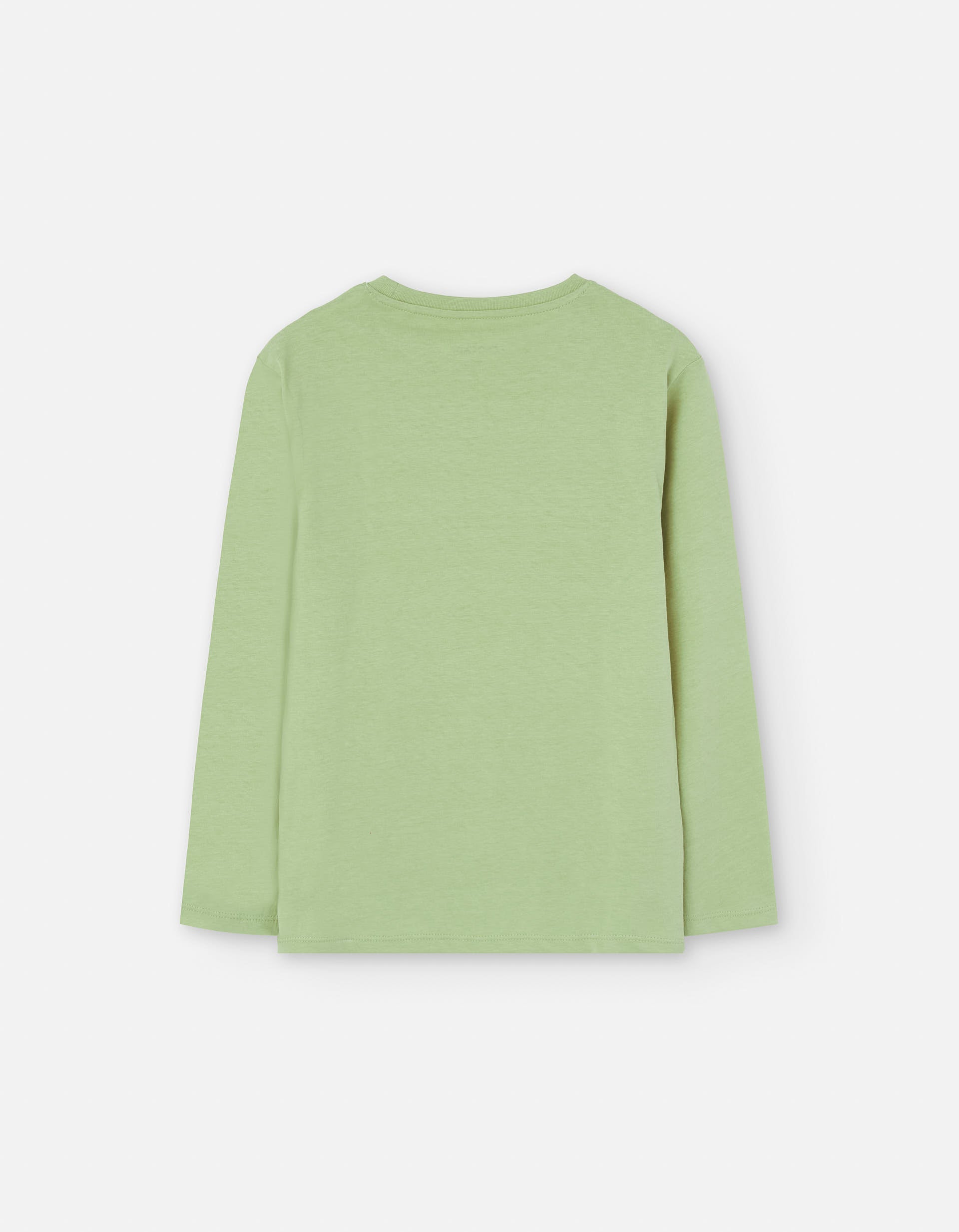 Long sleeve cotton T-shirt with tiger print for boys, light green