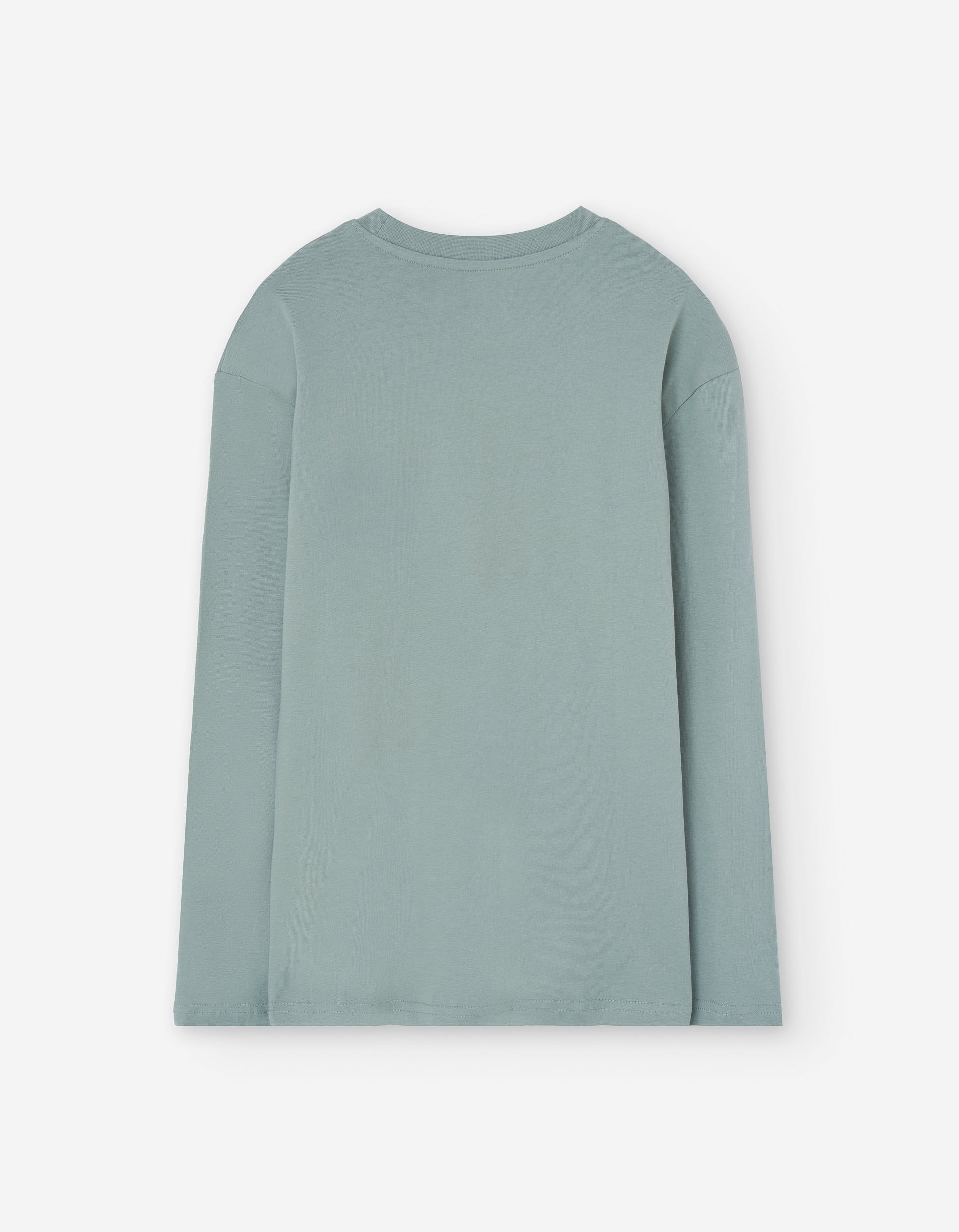 Long sleeve cotton T-shirt with Snowboarding print for boys, grey