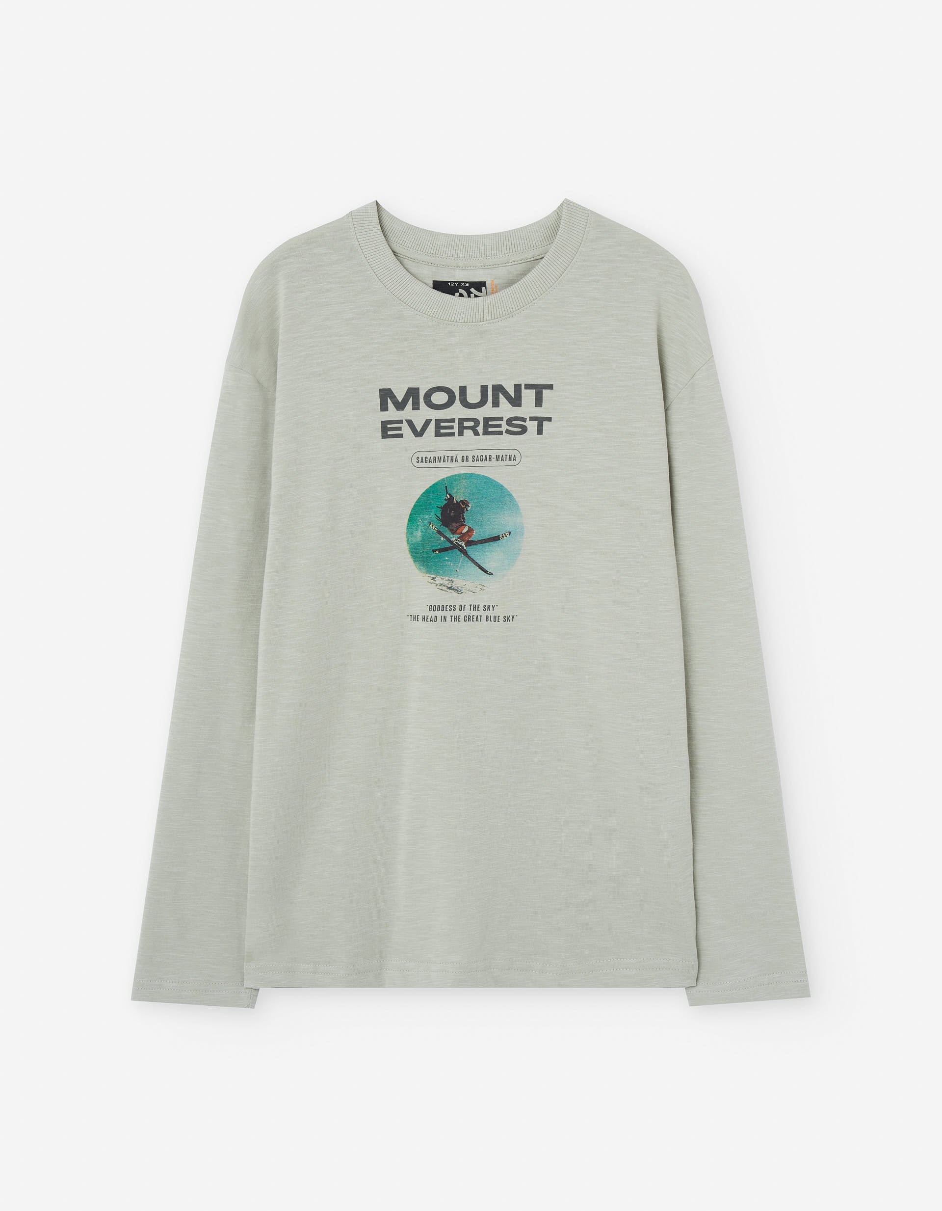 T-shirt de algodão com estampado Mount Everest para menino, cinza