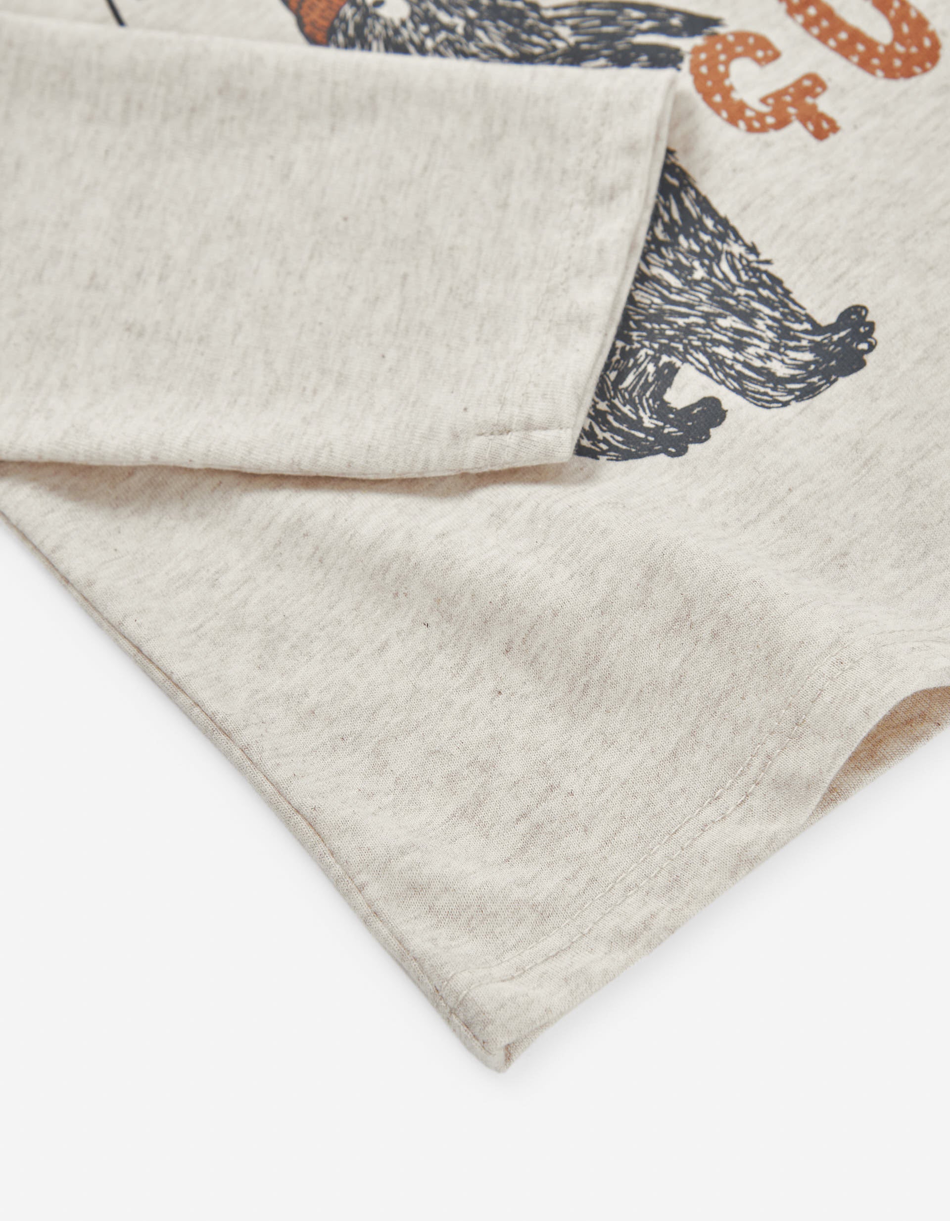 Long sleeve cotton T-shirt with Mountain Guide print for boys, beige