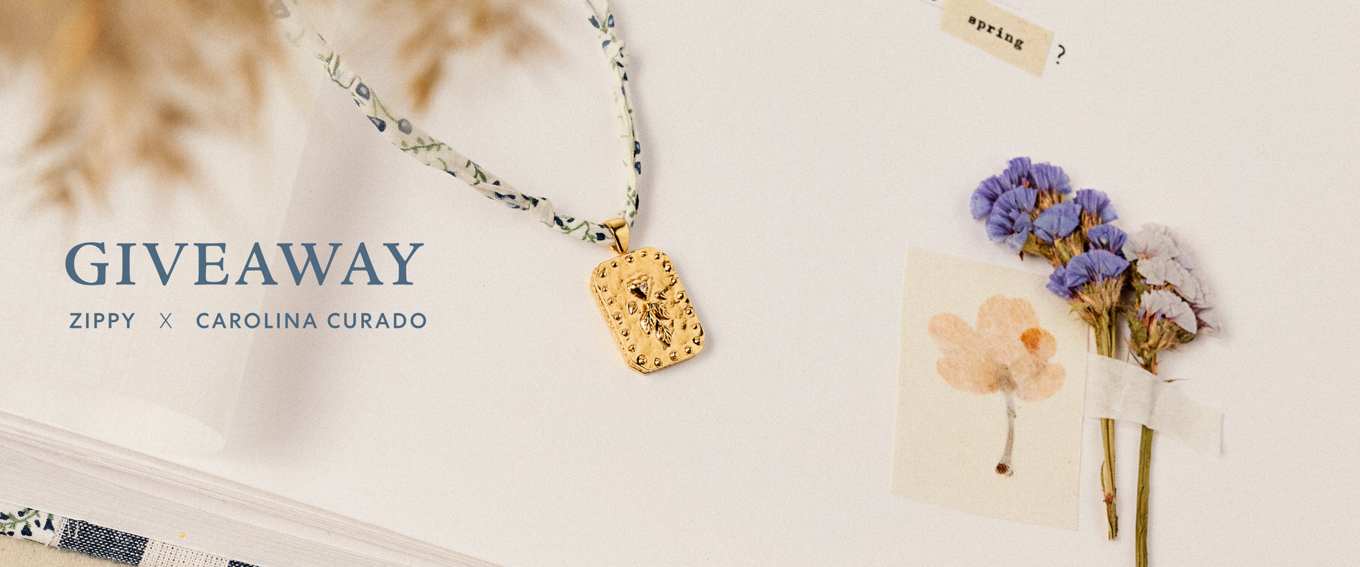 Regulamento Passatempo “Zippy x Carolina Curado”  banner