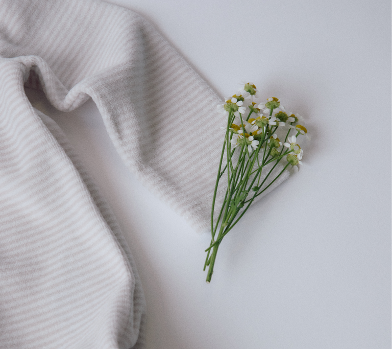 Estou grávida… e agora?