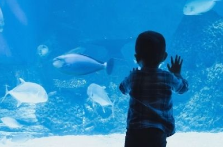 {"type":"root","children":[{"type":"heading","children":[{"type":"text","valu...