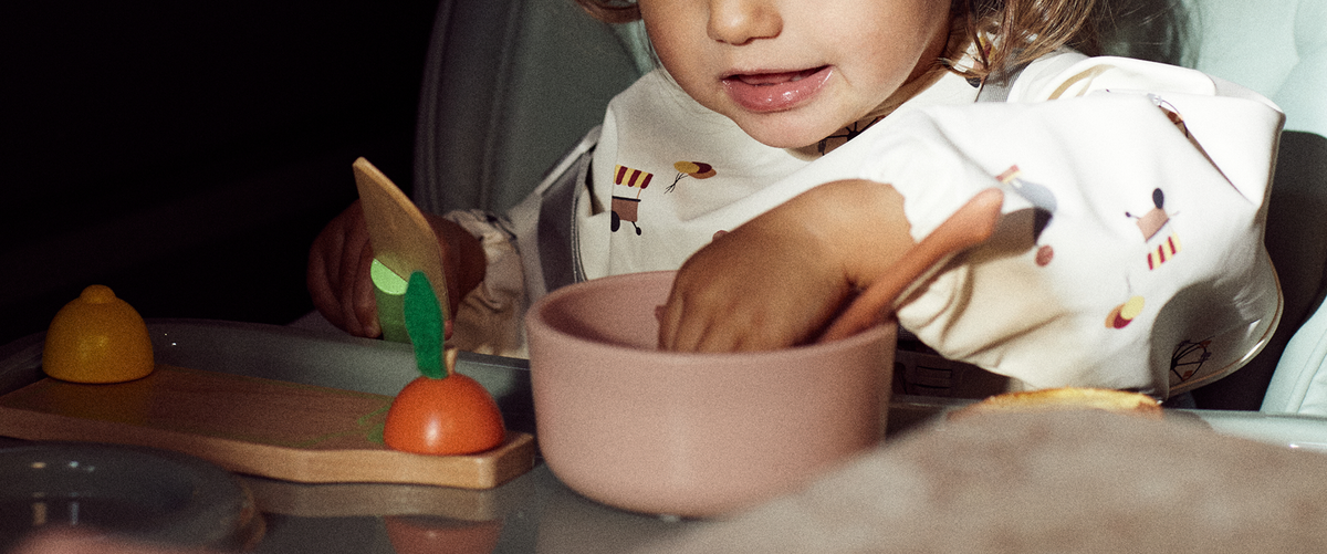 Introdução Alimentar com Confiança banner