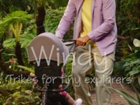 Evolutionary Tricycle Bebe Confort Windy 10M+, Green