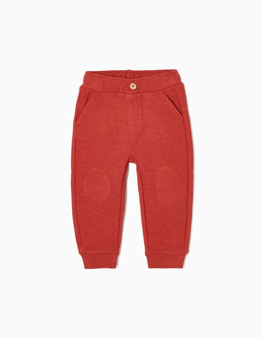Waffle Joggers in Cotton for Baby Boys, Orange