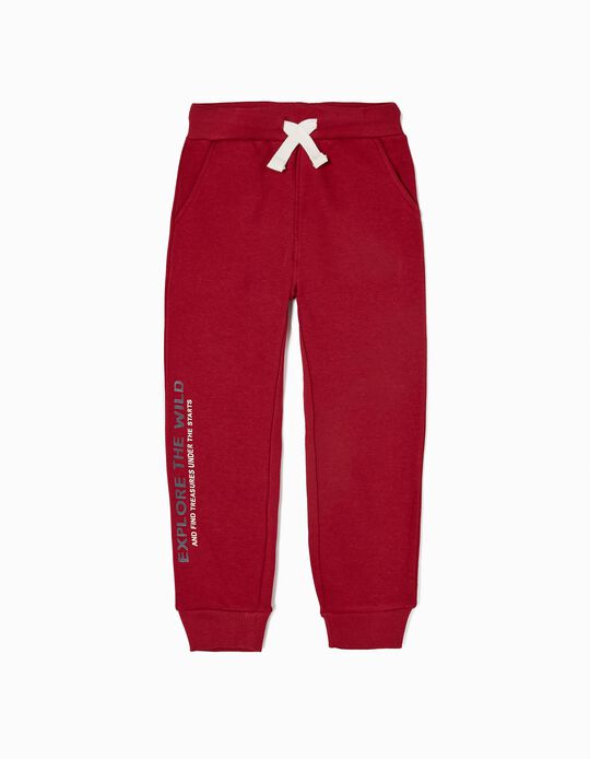 Brushed Joggers for Boys 'Explore the Wild', Red