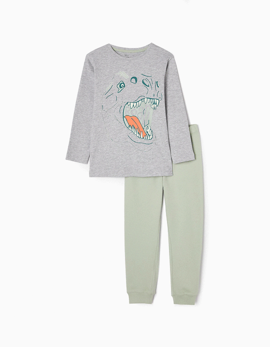 Glow in the Dark Cotton Pyjamas for Boys 'Dinosaur', Grey/Green