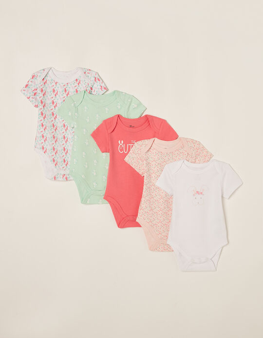 5 Bodysuits for Baby Girls 'The Cutest', Multicoloured
