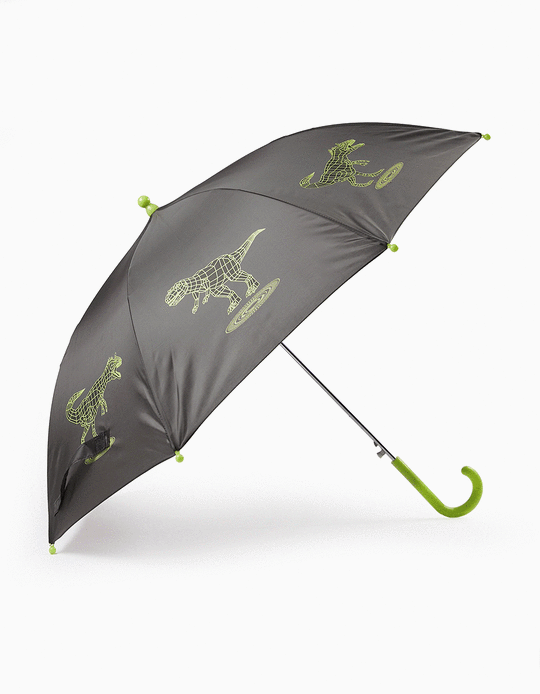 Paraguas Brilla en la Oscuridad para Niño 'Dinosaurio', Gris Oscuro/Verde Lima