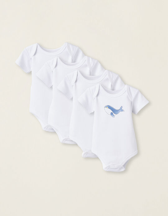 Pack of 4 Short Sleeve Cotton Bodysuits for Babies 'Sea', White