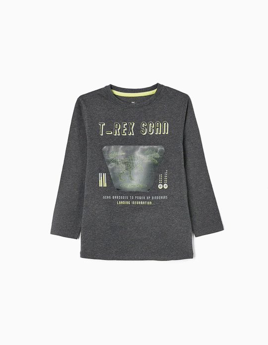 Long Sleeve Cotton T-shirt for Boys 'T-Rex', Grey