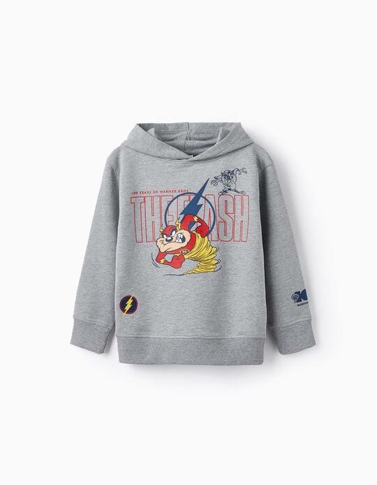 Hoodie for Boys 'Looney Tunes x The Flash', Grey