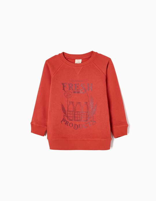 Cotton Sweatshirt for Boys 'Fresh Products', Orange