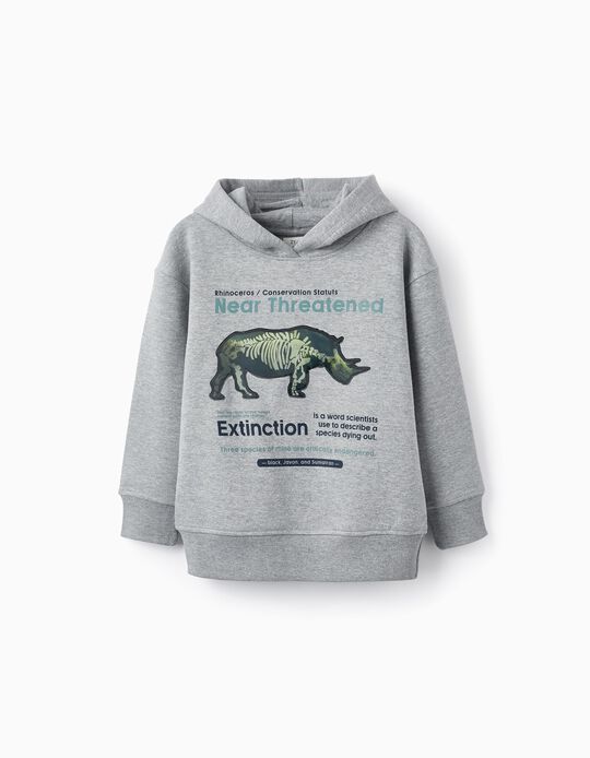 Comprar Online Sweatshirt Estampado, Menino, Cinzento