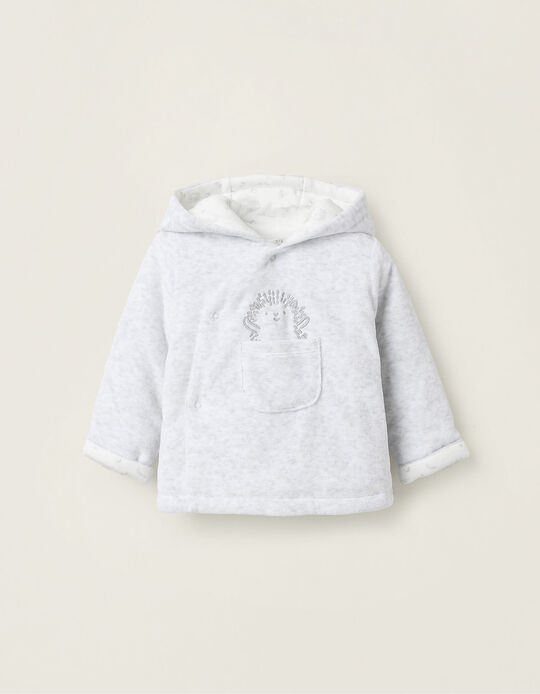 Buy Online Padded Velours Jacket for Newborns, Grey