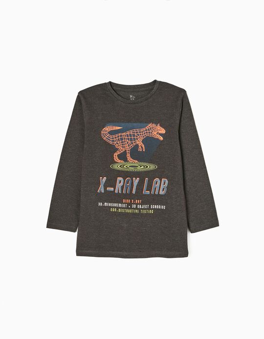 T-shirt à Manches Longues en Coton Garçon 'Dinosaure', Gris Foncé