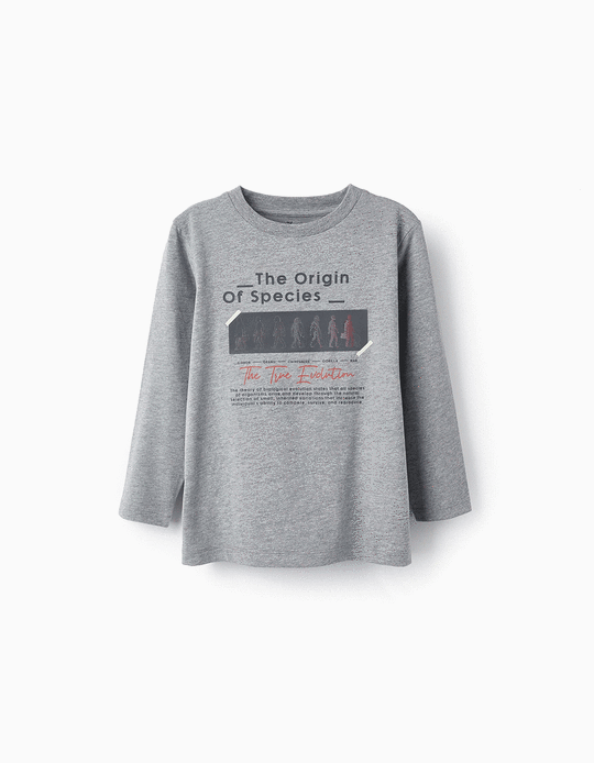 Long-Sleeved T-Shirt for Boys, Grey