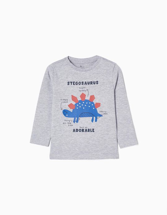 Long-sleeve Cotton T-shirt for Baby Boys 'Stegosaurus', Grey