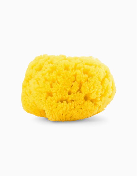 Large Natural Sea Sponge by Chicco